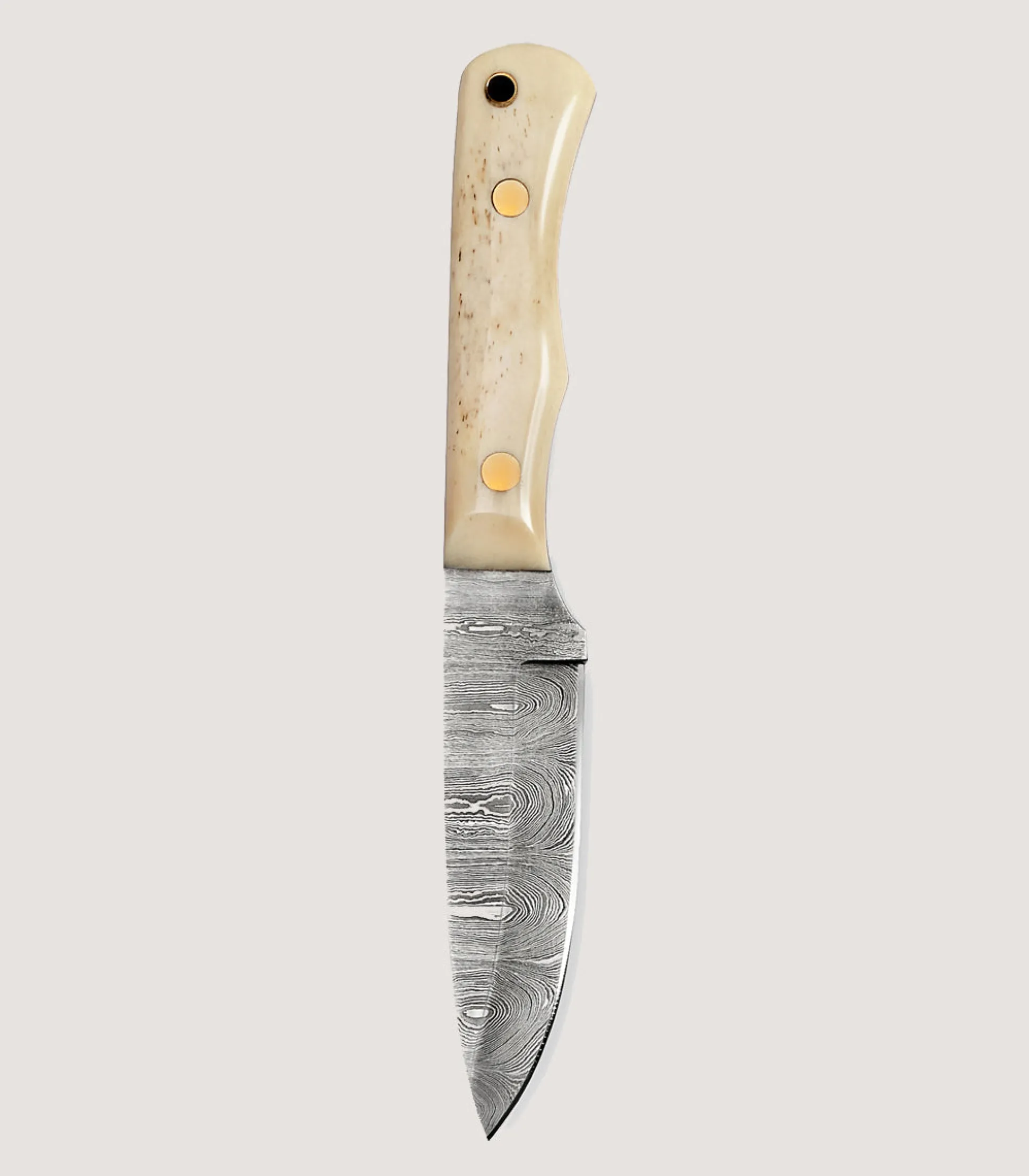 Purdey Damascus Hunting Knife In Camel Bone