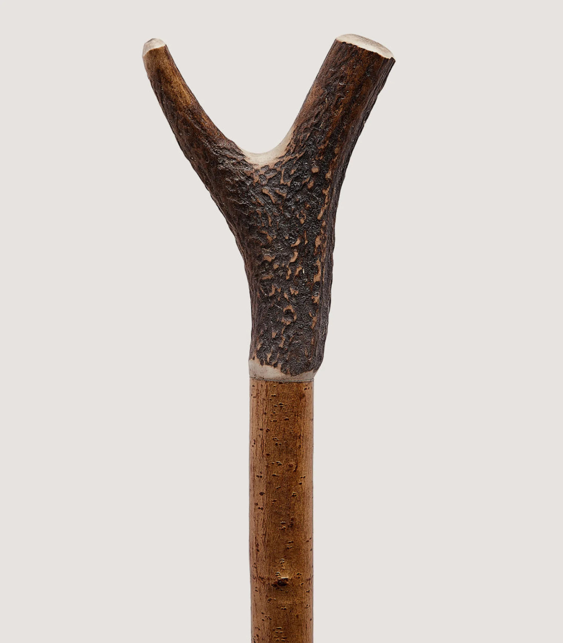 Purdey Staghorn Thumbstick In Natural